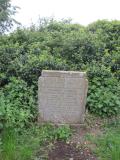 image of grave number 225696